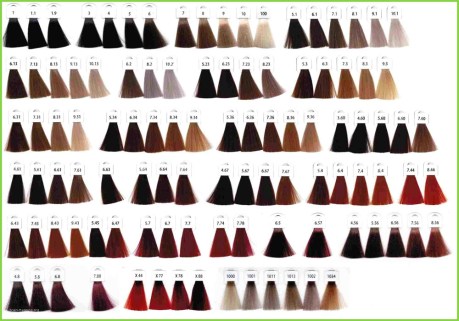 hairt-colors